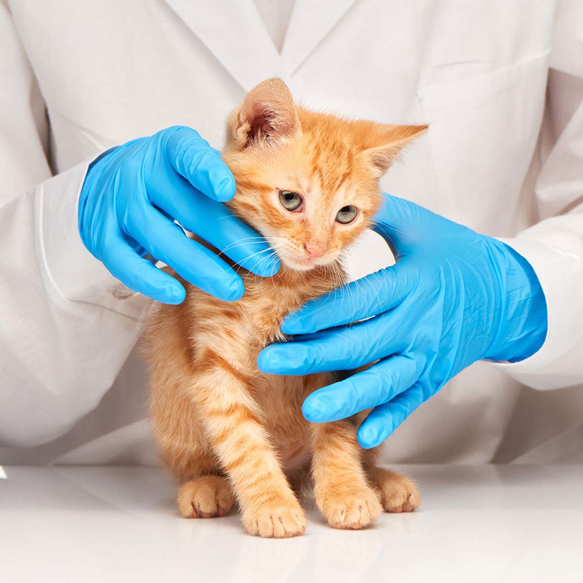 Gloves, Nitrile Medium - 100 per box - Image 2